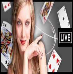 canuckonlinecasino.com live dealer  games